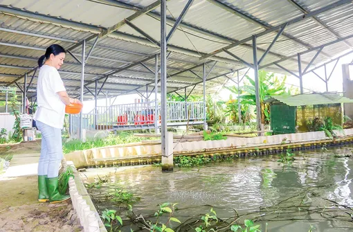 Kiếm tiền tỉ từ mô hình kinh tế tuần hoàn Kiếm tiền tỉ từ mô hình kinh tế tuần hoàn