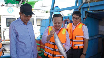 HCM City strengthens fishing vessel control