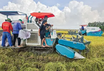 Nỗ lực khơi thông nguồn vốn cho thực hiện Đề án 1 triệu héc-ta lúa