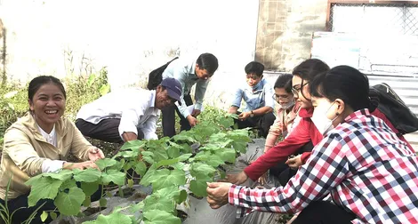 Hỗ trợ phát triển sản xuất nông nghiệp Hỗ trợ phát triển sản xuất nông nghiệp