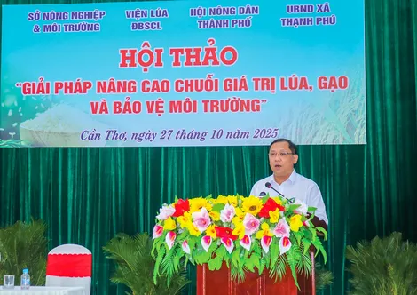 Tăng cường liên kết nâng cao chuỗi giá trị lúa gạo và bảo vệ môi trường