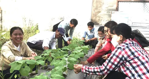 Hỗ trợ phát triển sản xuất nông nghiệp