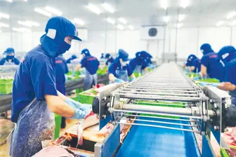 Doanh nghiệp Cần Thơ nỗ lực đóng góp vào tăng trưởng chung