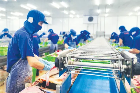 Doanh nghiệp Cần Thơ nỗ lực đóng góp vào tăng trưởng chung Doanh nghiệp Cần Thơ nỗ lực đóng góp vào tăng trưởng chung