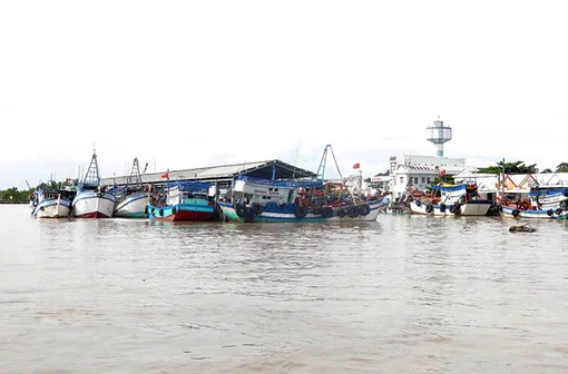 Phó Thủ tướng Trần Hồng Hà: Phát huy kết quả đạt được, duy trì giám sát, xử lý nghiêm vi phạm, hướng đến mục tiêu EC gỡ “thẻ vàng” IUU trong thời gian sớm nhất