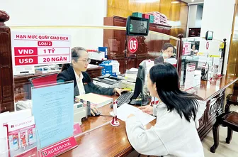 Triển khai các giải pháp tăng trưởng tín dụng, hướng nguồn vốn vào các lĩnh vực ưu tiên