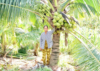 អភិវឌ្ឍន៍​សេដ្ឋ​កិច្ច​អា​ស្រ័យ​ទម្រង់​ដាំ​ដូង​នៅ​ឃុំ​គូវ​ឡាវ​យុង