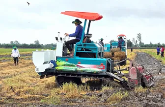 Bàn giải pháp phục hồi và nâng cao sức khỏe đất trồng lúa Bàn giải pháp phục hồi và nâng cao sức khỏe đất trồng lúa
