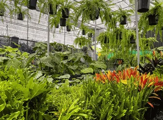 HSB Việt Nam - Giải pháp chăm sóc cảnh quan tối ưu chi phí cho không gian xanh bền vững