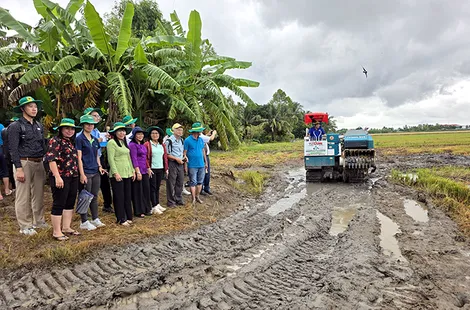 Trình diễn cơ giới hóa vùi rơm kết hợp áp dụng chế phẩm sinh học tăng sức khỏe đất