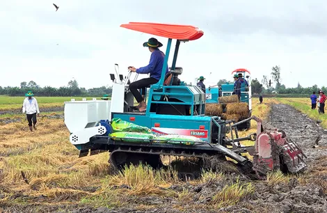 Bàn giải pháp phục hồi và nâng cao sức khỏe đất trồng lúa Bàn giải pháp phục hồi và nâng cao sức khỏe đất trồng lúa