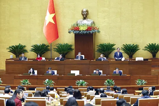 Kỳ họp thứ 10, Quốc hội khóa XV: Giám sát việc thực hiện pháp luật về bảo vệ môi trường