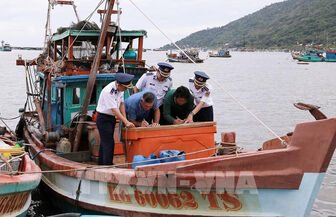 An Giang tightens control over unlicensed fishing vessels