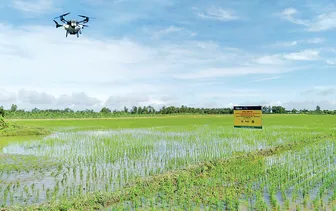 Phát huy mô hình sản xuất nông nghiệp bền vững, thích ứng biến đổi khí hậu Phát huy mô hình sản xuất nông nghiệp bền vững, thích ứng biến đổi khí hậu