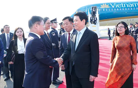 Chủ tịch nước Lương Cường đến Hàn Quốc, bắt đầu chương trình tham dự Tuần lễ Cấp cao APEC 2025 Chủ tịch nước Lương Cường đến Hàn Quốc, bắt đầu chương trình tham dự Tuần lễ Cấp cao APEC 2025