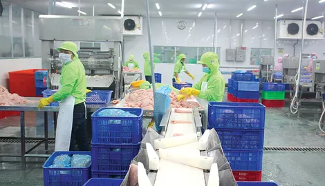 Sản lượng thủy sản nuôi trồng và khai thác đều tăng Sản lượng thủy sản nuôi trồng và khai thác đều tăng