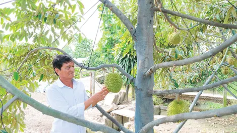 Gia tăng giá trị sản phẩm, phát triển nông nghiệp bền vững Gia tăng giá trị sản phẩm, phát triển nông nghiệp bền vững