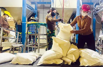 Hỗ trợ doanh nghiệp tham gia thực hiện hợp đồng xuất khẩu gạo sang Senegal Hỗ trợ doanh nghiệp tham gia thực hiện hợp đồng xuất khẩu gạo sang Senegal