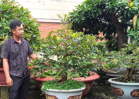 Khởi nghiệp từ niềm đam mê mai vàng Khởi nghiệp từ niềm đam mê mai vàng