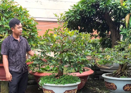 Khởi nghiệp từ niềm đam mê mai vàng Khởi nghiệp từ niềm đam mê mai vàng