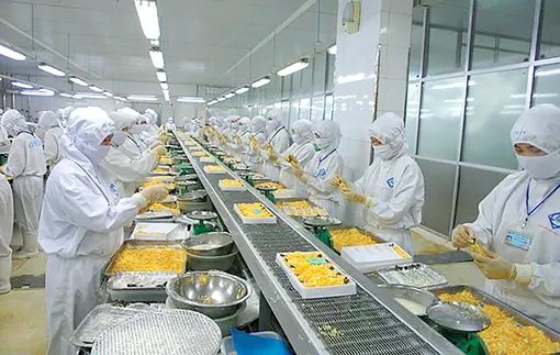 Kỳ vọng đoạn kết đẹp cho mùa tôm khó Kỳ vọng đoạn kết đẹp cho mùa tôm khó