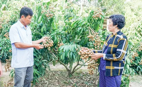 Giúp hội viên, nông dân chuyển đổi số Giúp hội viên, nông dân chuyển đổi số