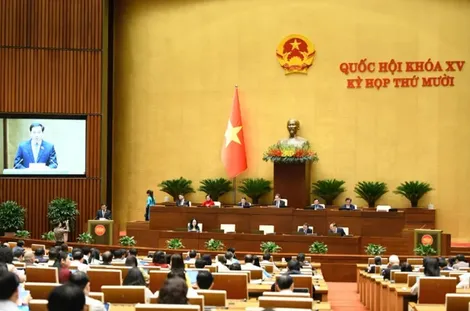 Bài 2: Kỷ lục về quyết sách - quyết không để thừa lượng, thiếu chất