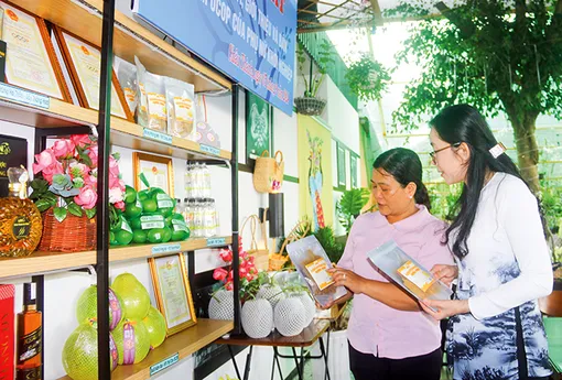 Phụ nữ chung sức xây dựng nông thôn mới