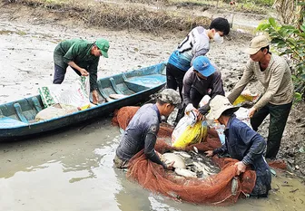 Phát triển ngành thủy sản theo hướng tăng trưởng xanh và bền vững