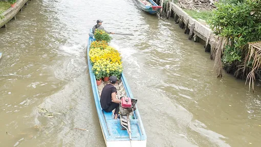 Đôi điều về biến hóa ngữ nghĩa trong cách nói của cư dân Nam Bộ