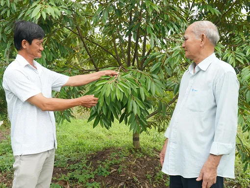 “Tự soi” để “tự sửa”