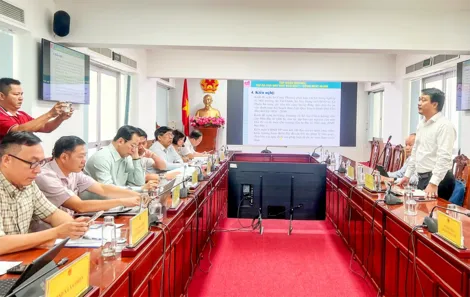 Lãnh đạo TP Cần Thơ làm việc với nhà đầu tư về 2 dự án điện sinh khối và điện mặt trời