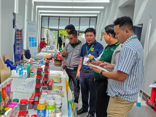 Thúc đẩy phát triển nông nghiệp hữu cơ tại vùng ĐBSCL