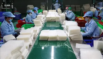 Chính phủ bãi bỏ toàn bộ hoặc một phần đối với 10 nghị định