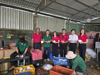 Agribank Chi nhánh Trà Vinh đồng hành phát triển đặc sản dừa sáp Agribank Chi nhánh Trà Vinh đồng hành phát triển đặc sản dừa sáp