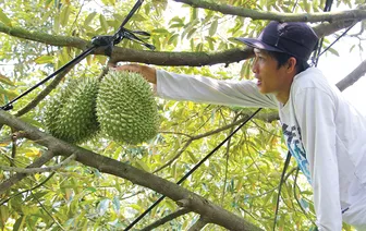 Đổi mới tư duy để thực hiện chuyển đổi xanh Đổi mới tư duy để thực hiện chuyển đổi xanh