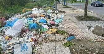 Nhếch nhác rác thải