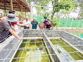 Hỗ trợ doanh nghiệp, tổ chức, cá nhân phát triển tài sản trí tuệ