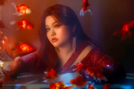 10 năm âm nhạc của Bích Ngọc