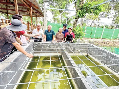 Hỗ trợ doanh nghiệp, tổ chức, cá nhân phát triển tài sản trí tuệ