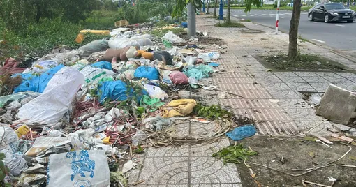 Nhếch nhác rác thải