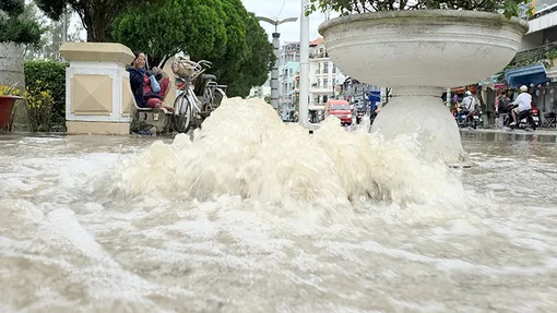 Tăng cường khảo sát, thống kê và đề xuất giải pháp khắc phục thiệt hại do triều cường