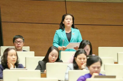 Đại biểu Quốc hội đơn vị TP Cần Thơ góp ý Luật An ninh mạng