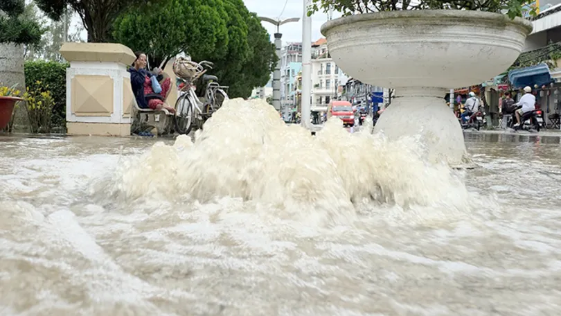 Tăng cường khảo sát, thống kê và đề xuất giải pháp khắc phục thiệt hại do triều cường