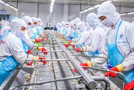 Cà Mau phát triển ngành thủy sản chủ lực