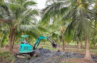 Tái cấu trúc ngành hàng “tỉ đô” theo hướng bền vững