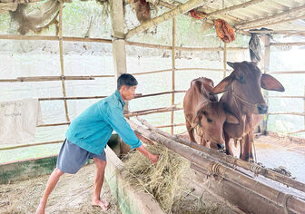 ក្តី​រីក​រាយ​ពី​កម្ម​វិធី​ទិស​ដៅ​ជាតិ​