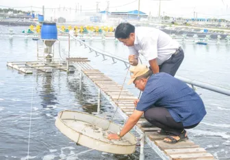 Bảo vệ tốt diện tích nuôi thủy sản trong các đợt mưa bão