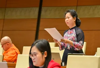 Đại biểu Quốc hội Tô Ái Vang góp ý đối với dự án Luật Phòng bệnh