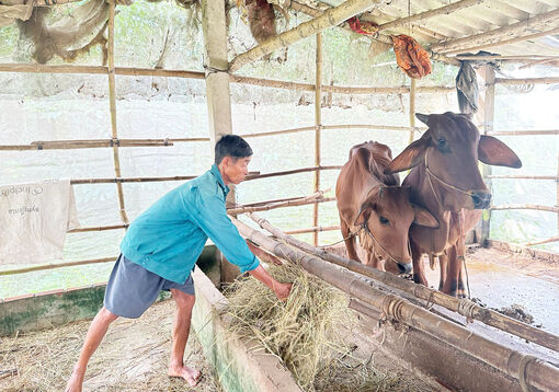 ក្តី​រីក​រាយ​ពី​កម្ម​វិធី​ទិស​ដៅ​ជាតិ​